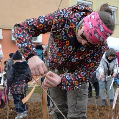 Első Kecskeméti Miyawaki ültetése - Az Ötszögletű minierdő