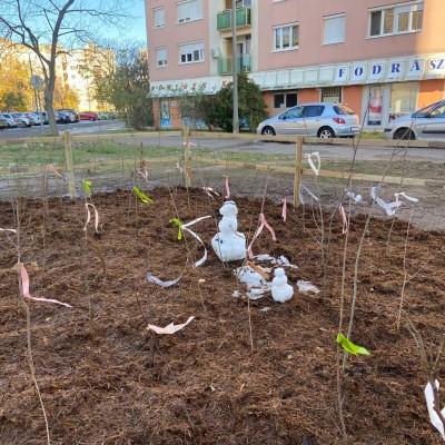 Első Kecskeméti Miyawaki ültetése - Az Ötszögletű minierdő