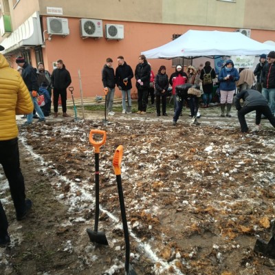 Első Kecskeméti Miyawaki ültetése - Az Ötszögletű minierdő