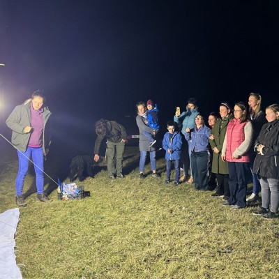 Farmosi békamentő tábor