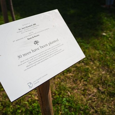 Jane Goodall Intézetek találkozója Bécsben az EUPP4 projekt keretében