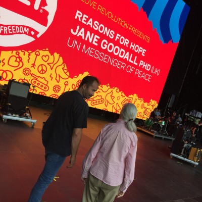 Sziget fesztivál 2019